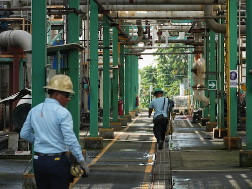 Etanol en Guatemala: La aventura del combustible verde