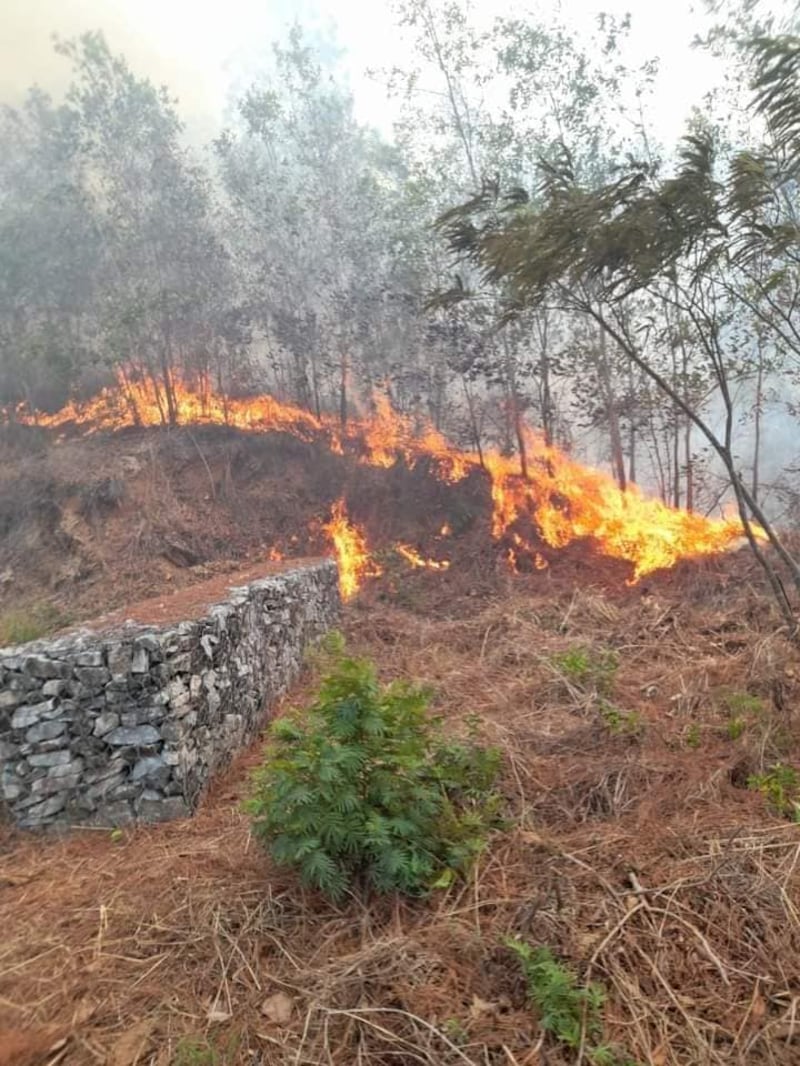 Incendio forestal consume la Sierra de las Minas en Zacapa