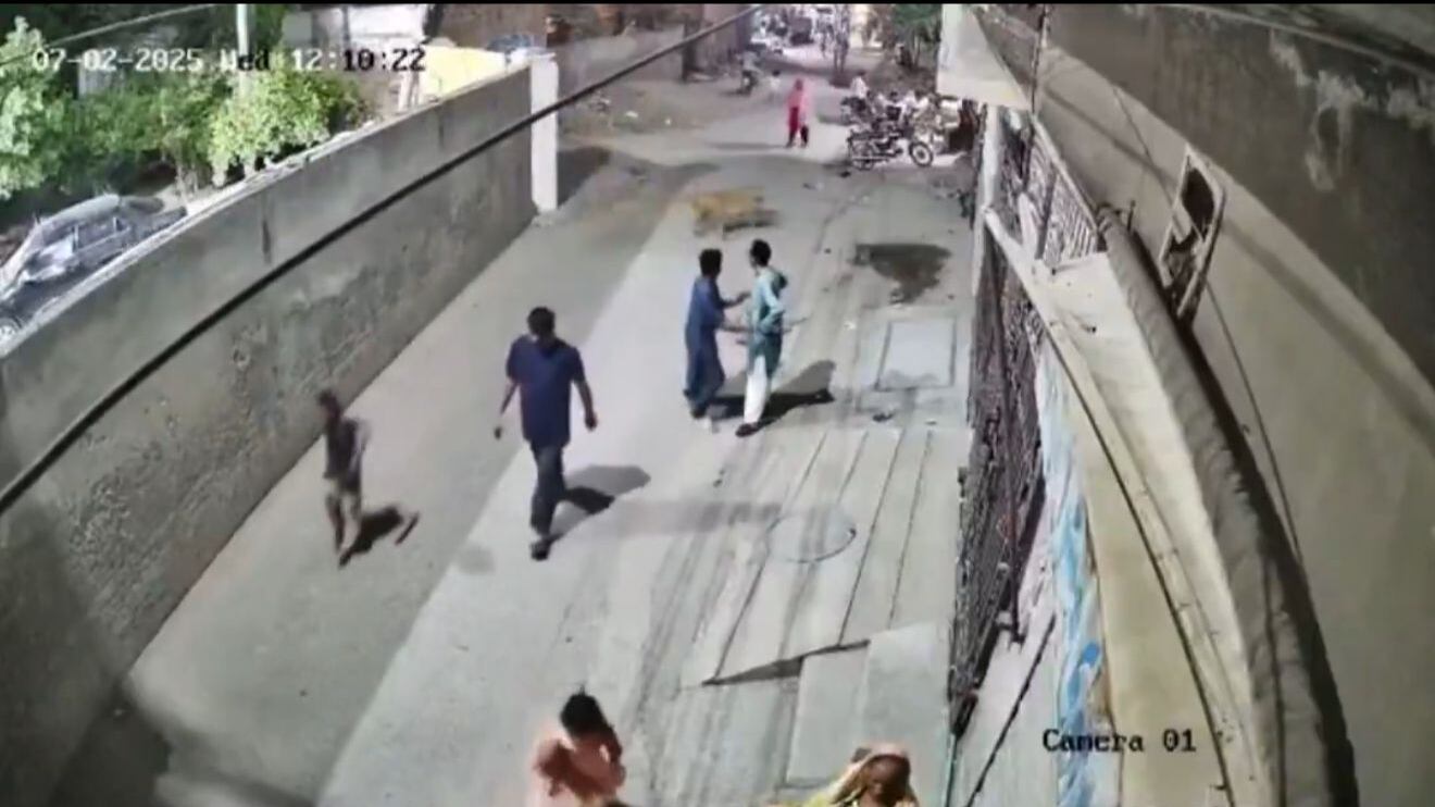 León escapa y ataca a varias personas en Pakistán