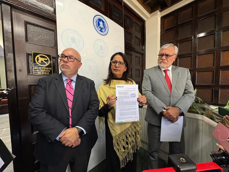 La petición fue firmada por Ana Lorena Delgadillo; José Ugaz; y Jaime Arellano.