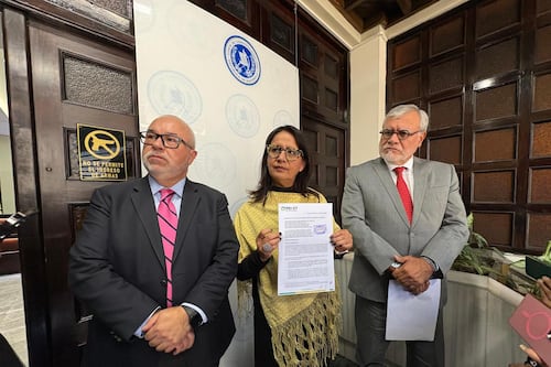 Panel de expertos pide a Congreso, Arévalo y la CSJ perfiles intachables para CC y MP