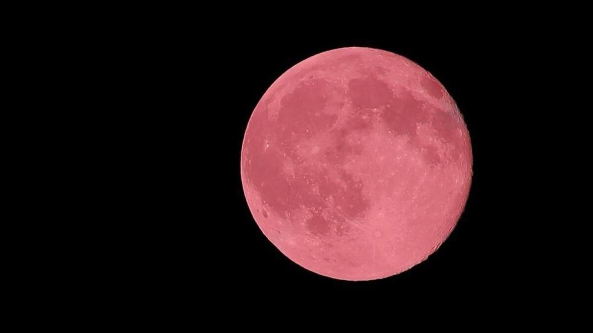 ¡La Luna Rosa se acerca!
Este 13 de abril, alzá la vista y disfrutá de uno de los espectáculos más bellos del cielo. No es rosa de verdad, ¡pero sí mágica!