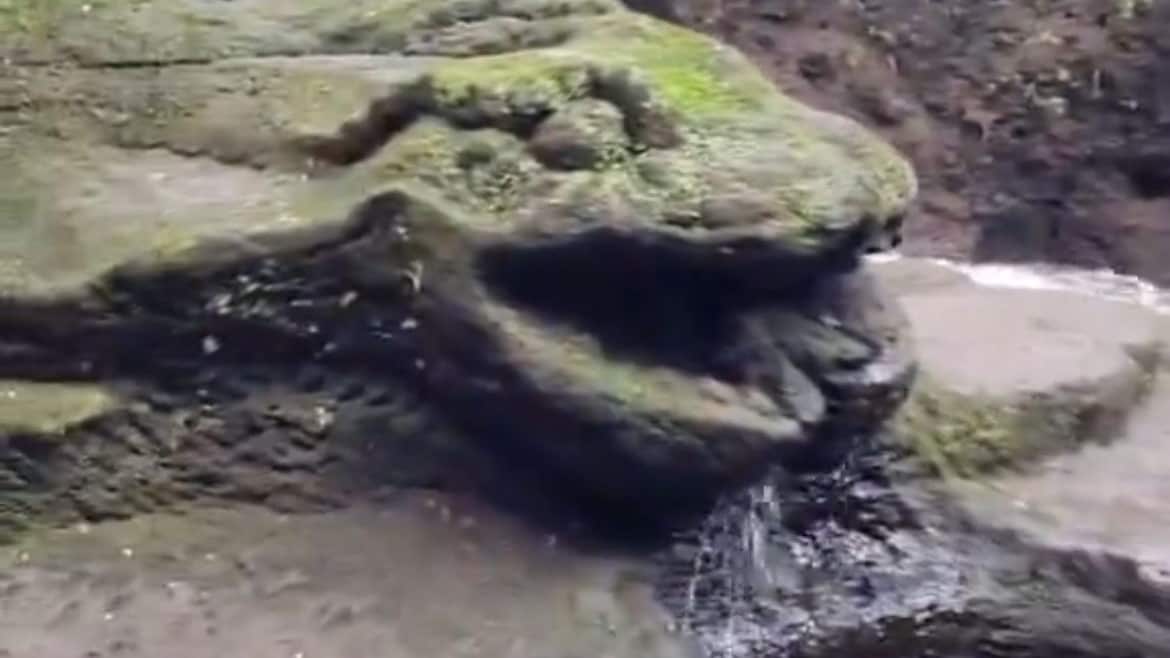 Las rocas misteriosas que asombran en una cascada de Indonesia