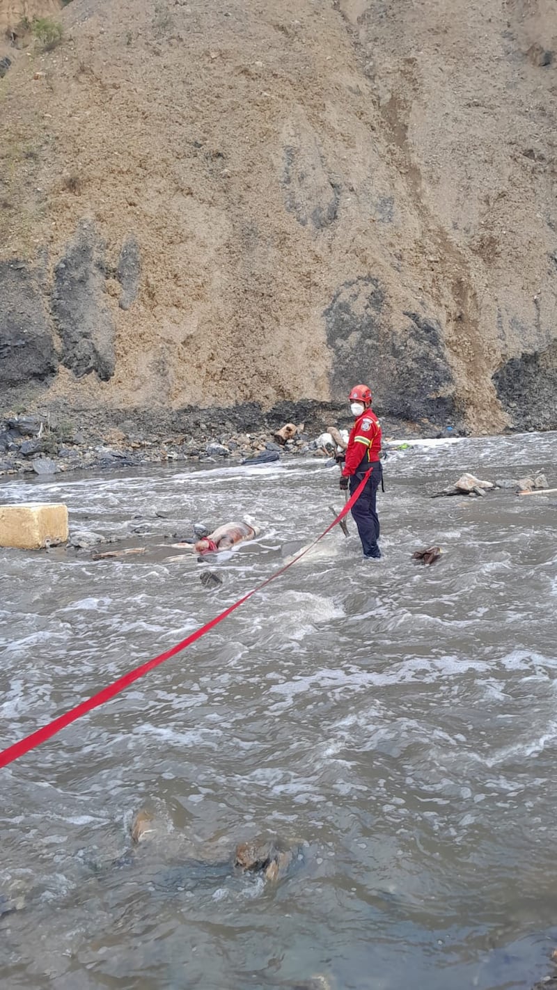 Bomberos en labores de rescate. Foto: CBM