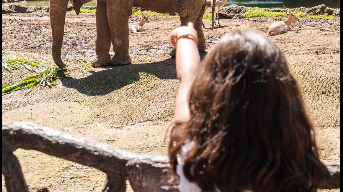 Algunas opciones si no saldrás de la ciudad durante el descanso de la Semana Santa 2024