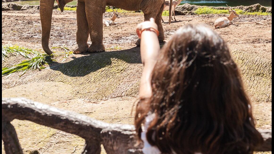 Algunas opciones si no saldrás de la ciudad durante el descanso de la Semana Santa 2024