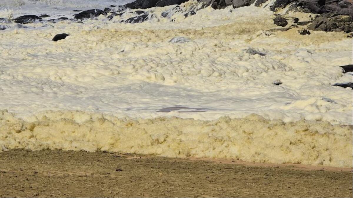 Misteriosa espuma en Australia enferma a más de 100 surfistas