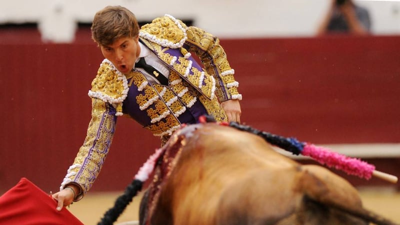 FUERTE VIDEO. Torero francés recibe una cornada en el recto