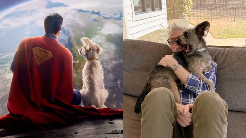 “Ozu viendo a su ‘versión superhéroe’ en pantalla… ¡No puede ser más tierno! James Gunn compartió este momento adorable y el internet no puede con tanto amor.