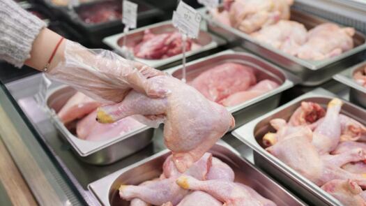 colusion de los pollos