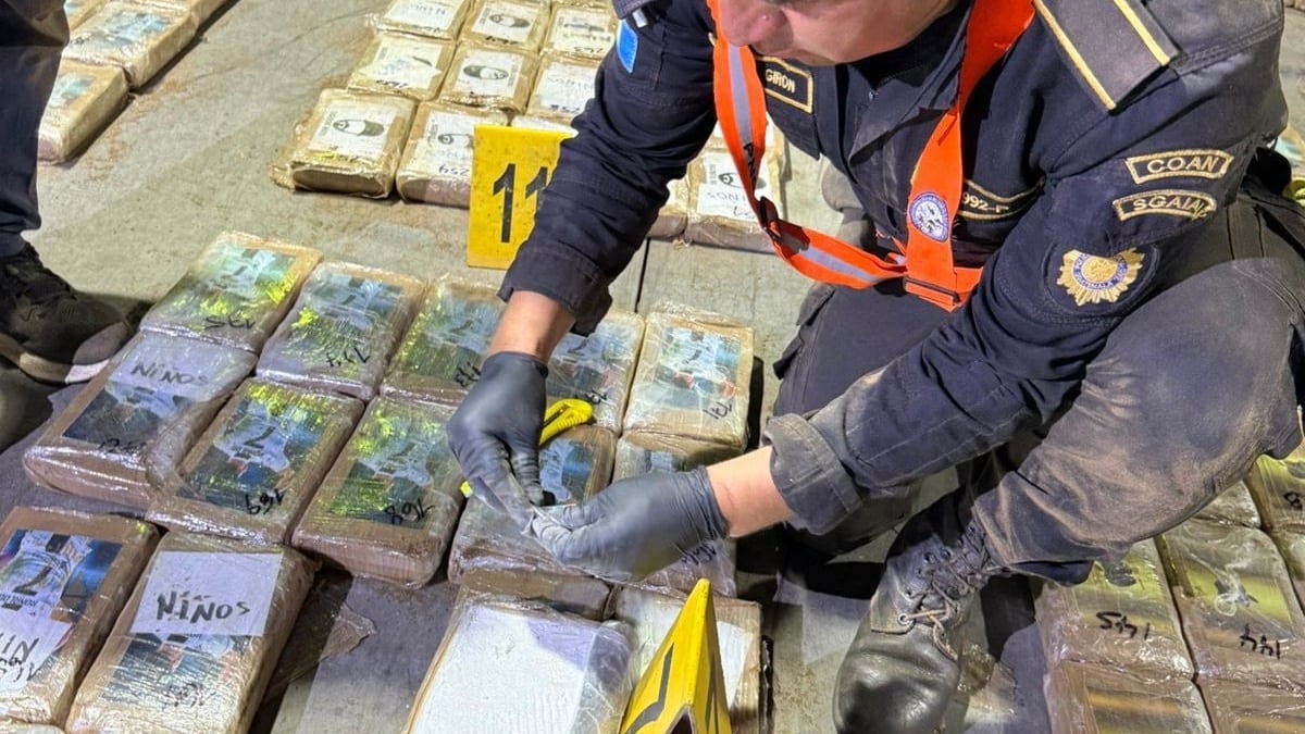 El presidente Bernardo Arévalo resaltó los resultados de estas diligencias. Foto: RRSS