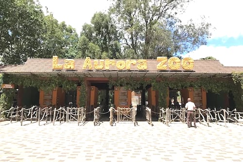 ¡Asiste con tu mejor outfit de verano! Noche de Luna: Edición Zoomer Fest en el Zoológico La Aurora