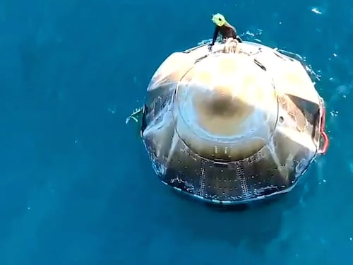 Un grupo de delfines se robó las miradas en el amerizaje de la cápsula de SpaceX con los astronautas varados