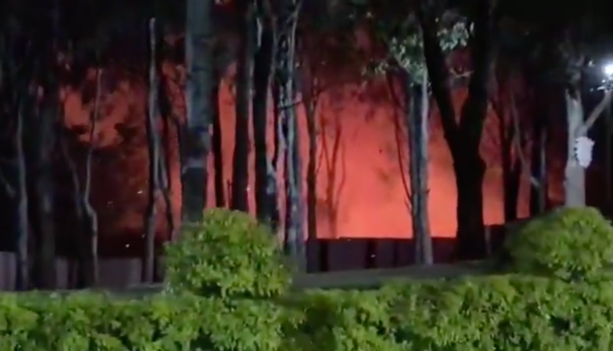 Incendio forestal en Planes de Bárcenas mantiene en alerta a vecinos de Villa Nueva