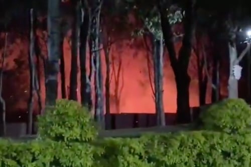 Incendio forestal afecta sector residencial de Villa Nueva