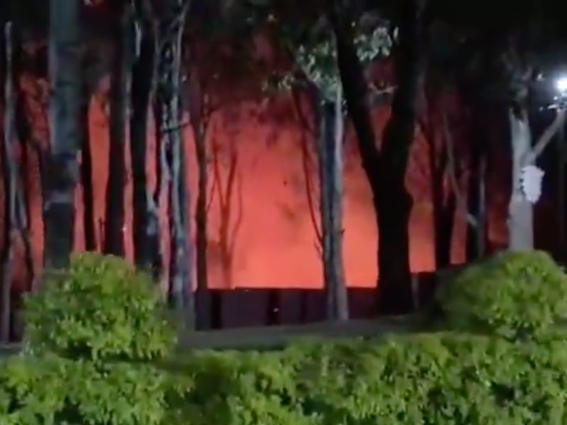 Incendio forestal afecta sector residencial de Villa Nueva