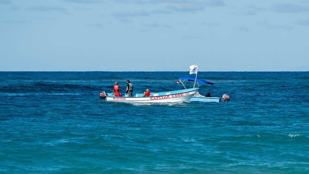 República Dominicana / Búsqueda de Sudiksha Konanki