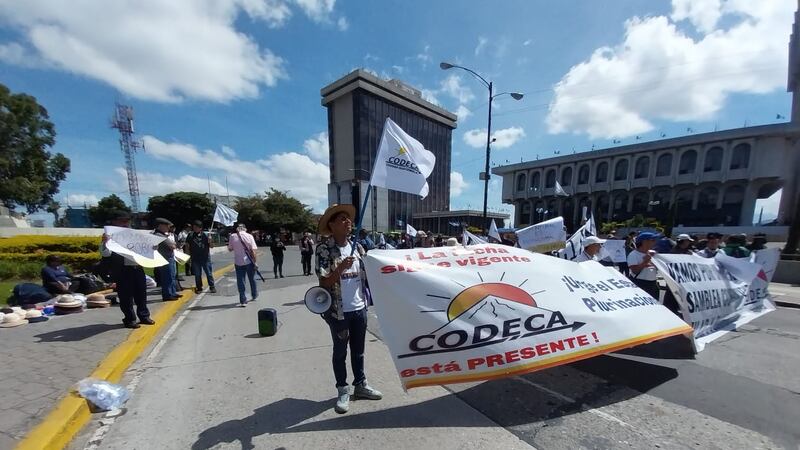 Codeca obstruye paso en zona 1