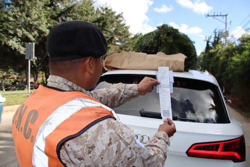 Autoridades realizan operativos en la Interamericana de inspección de compra de pinabete