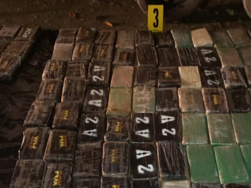 Izabal: Fuerzas de seguridad decomisan 515 paquetes de cocaína