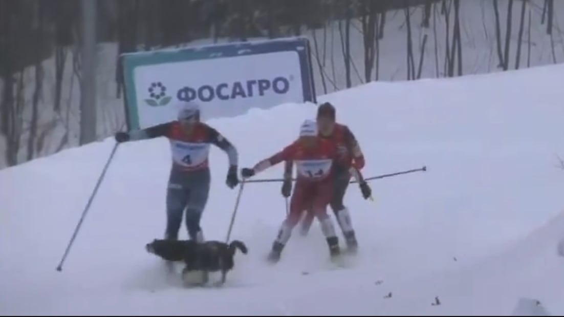 (Foto: Captura de pantalla)