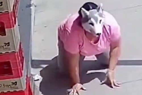 VIDEO. Mujer “Therian” es atacada en la vía pública por un Pitbull y así fue su reacción