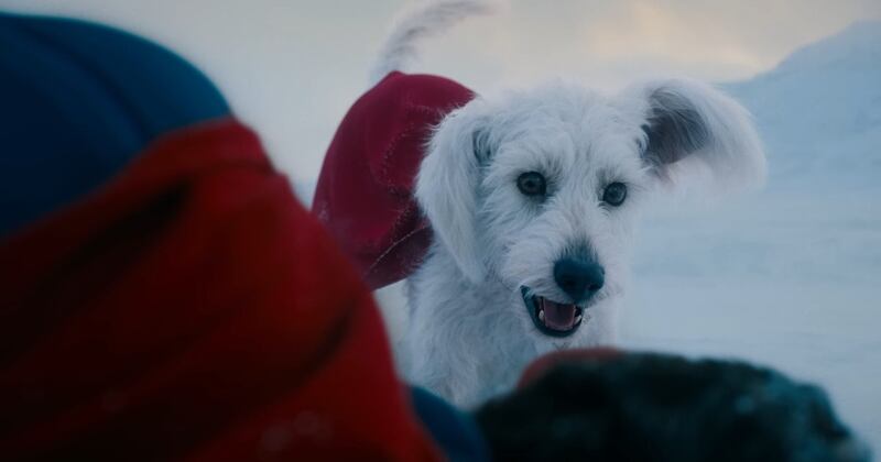 El perrito Krypto de Superman llegó a la película por una mascota que James Gunn adoptó.