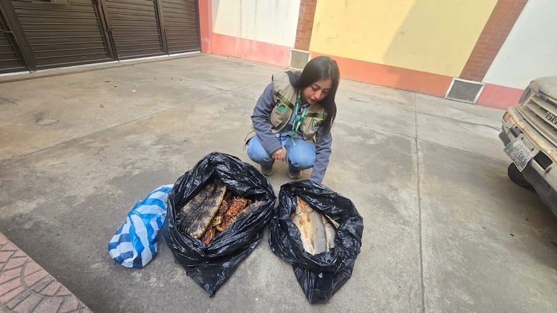 Más de 70 libras fueron decomisadas por Conap. Foto: Conap