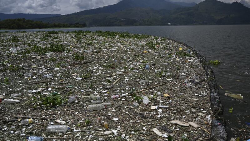 EN IMÁGENES. Lago de Amatitlán sigue agonizando