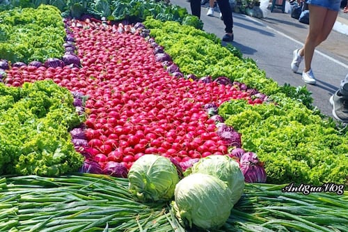 Arte y devoción: Impresionante alfombra de verduras recibe a Jesús Nazareno “El Dulce Rabí” en Jocotenango