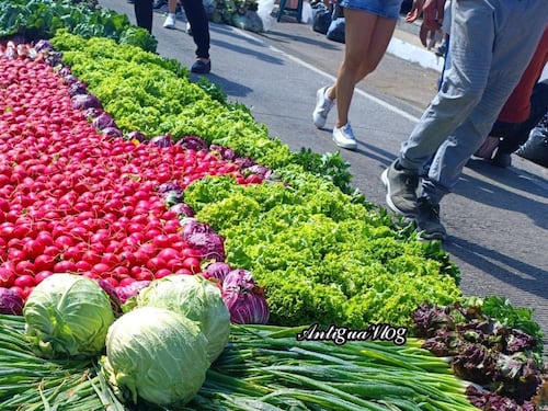 Arte y devoción: Impresionante alfombra de verduras recibe a Jesús Nazareno “El Dulce Rabí” en Jocotenango