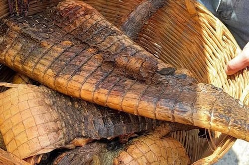 Decomisan carne de cocodrilo y pez lagarto en puesto de venta de Quetzaltenango