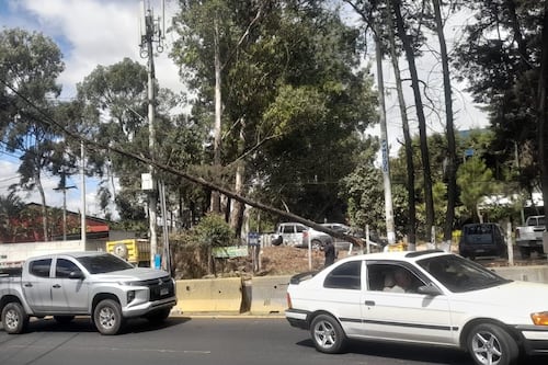 Caída de árbol provoca cierre y complicaciones en la ruta al Pacífico en Villa Nueva