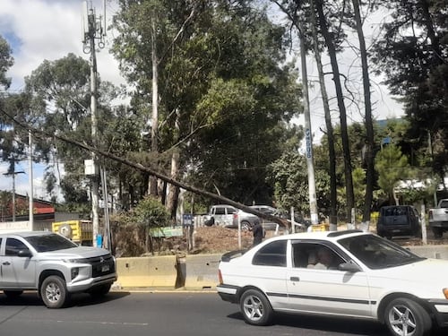 Caída de árbol provoca cierre y complicaciones en la ruta al Pacífico en Villa Nueva