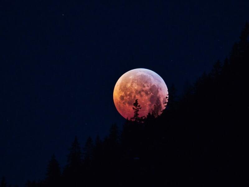 ¡Mira la “Superluna de Sangre” y el primer eclipse lunar del año!