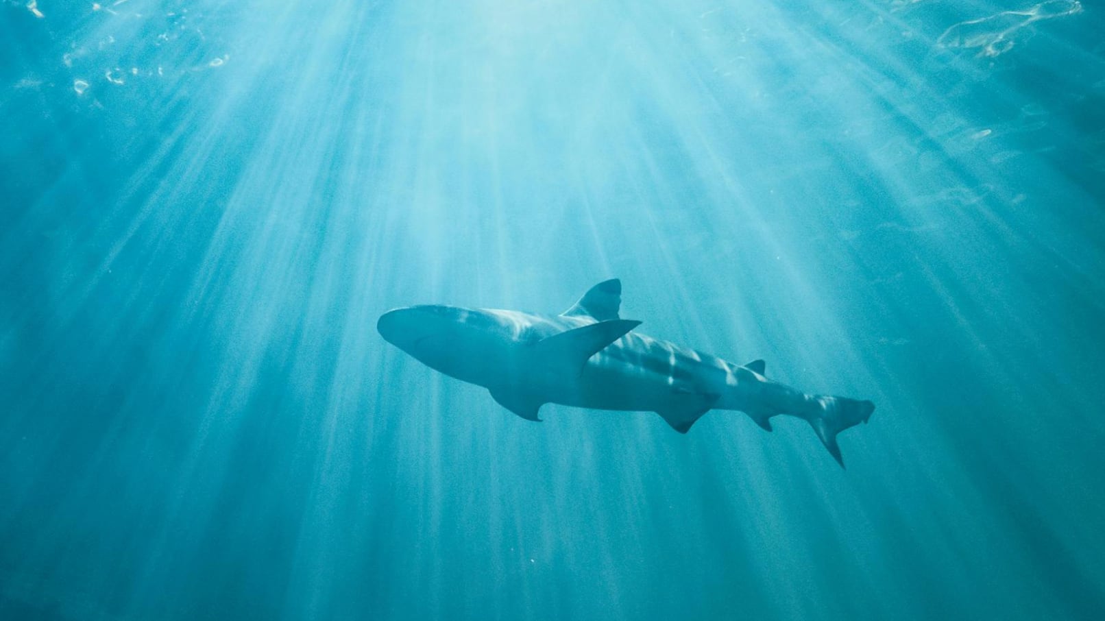 Uno de los afectados tiene 18 años