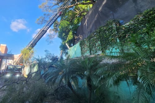 Hombre muere en accidente laboral en área verde de comercial de Villa Nueva