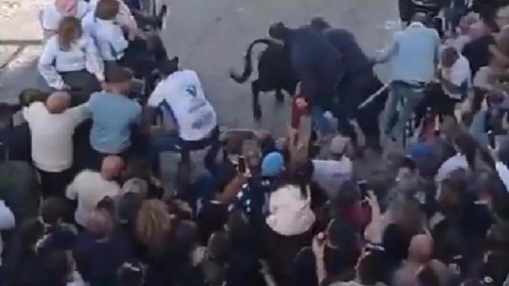 VIDEO. Toro embiste a una multitud en España