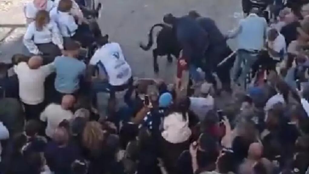 VIDEO. Toro embiste a una multitud en España