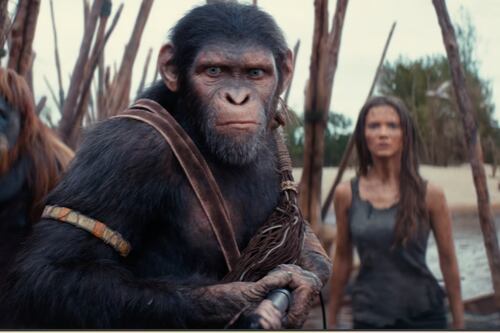 ‘Kingdom of the Planet of the Apes’: ¿Cuánto recaudó la cinta en su primer fin de semana?