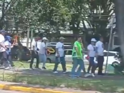 VIDEO. Caminata avanza por la avenida Reforma