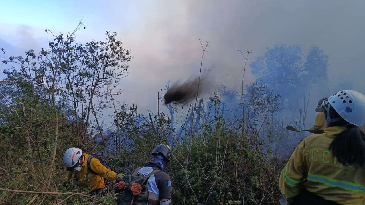 Huehuetenango y Quiché suman mayor cantidad de hectáreas consumidas por incendios forestales