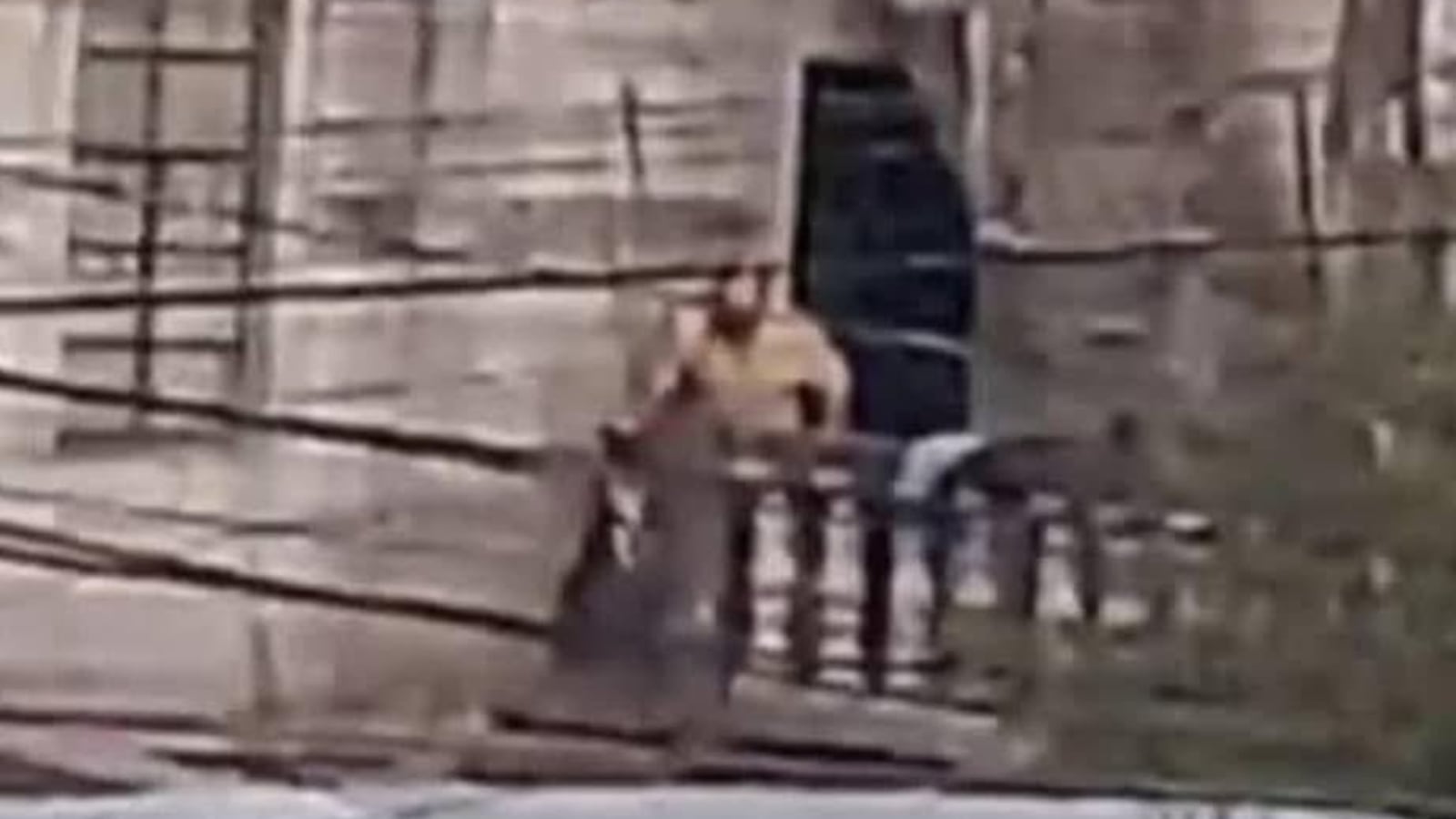 Hombre agrede brutalmente a un perro en Mixco.