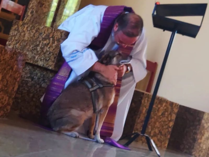 Sacerdote rescata perritos de la calle y aprovecha misas para ponelos en adopción