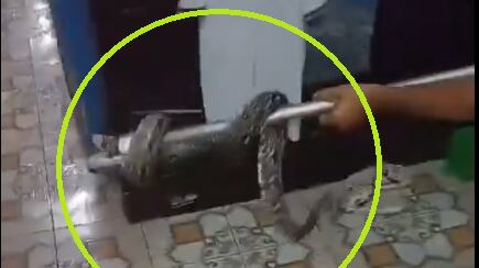 Bombero rescata a serpiente en Teculután