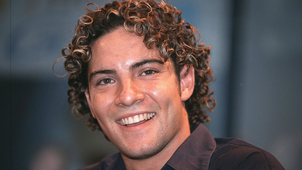 Esta vez no fueron Los Simpson, la predicción futurista ha venido del cantante David Bisbal.
