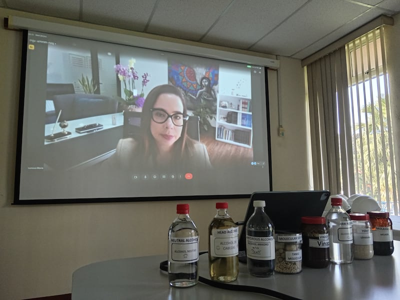 Ivanova Ancheta Alvarado, directora ejecutiva de la Asociación de Productores de Alcohol