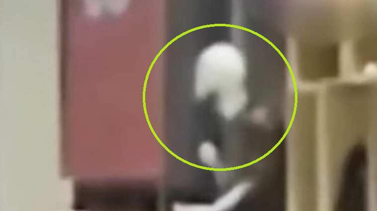 Maniquí se mueve solo?