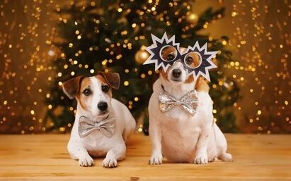 Antigua Guatemala prepara espectacular show de luces para recibir el 2026