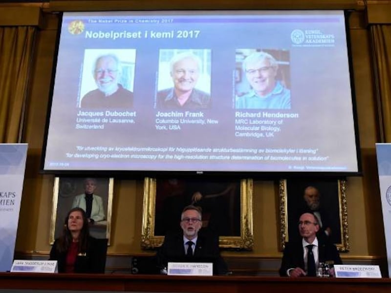 Premio Nobel de Química reconoce la criomicroscopía electrónica